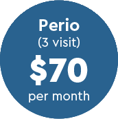 perio membership plan